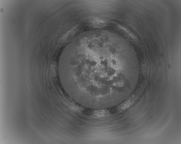 X0000073890757200608180933