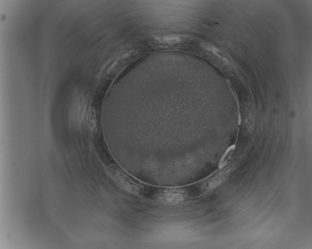 X0000073890758200608180933