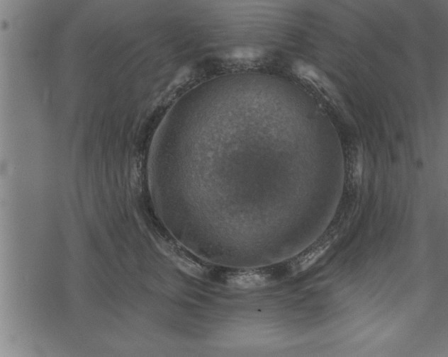 X0000073890759200608180933