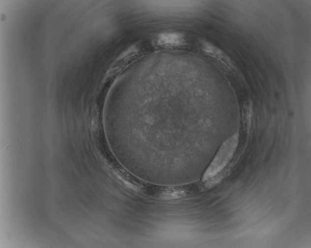 X0000073890760200608180933