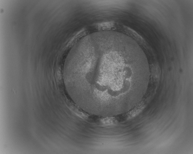 X0000073890761200608180933