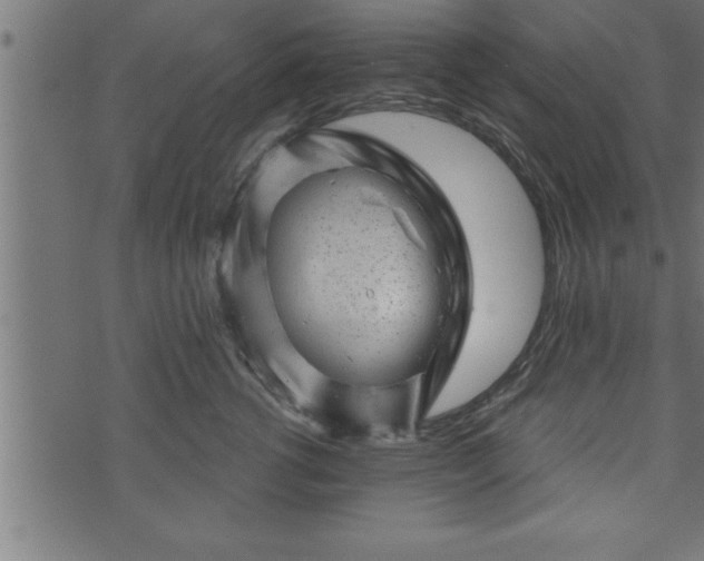 X0000073890762200608180933