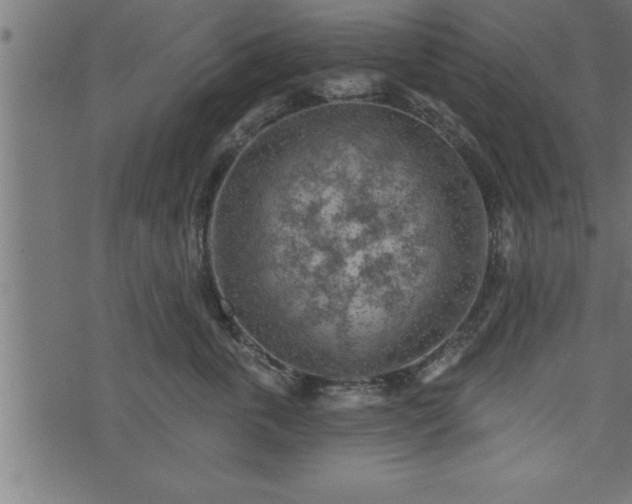 X0000073890763200608180933