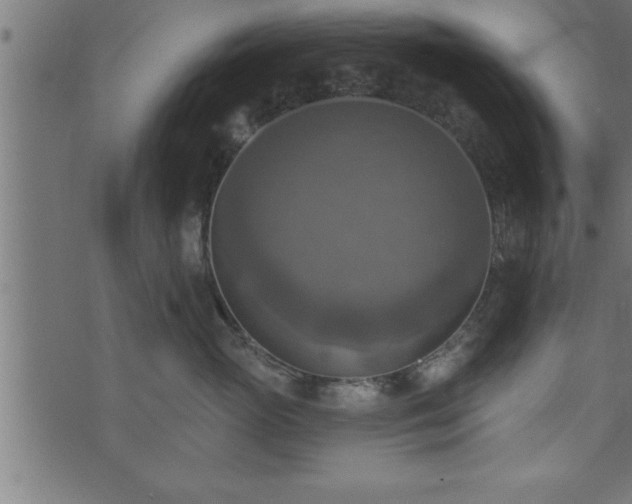 X0000073890765200608180933