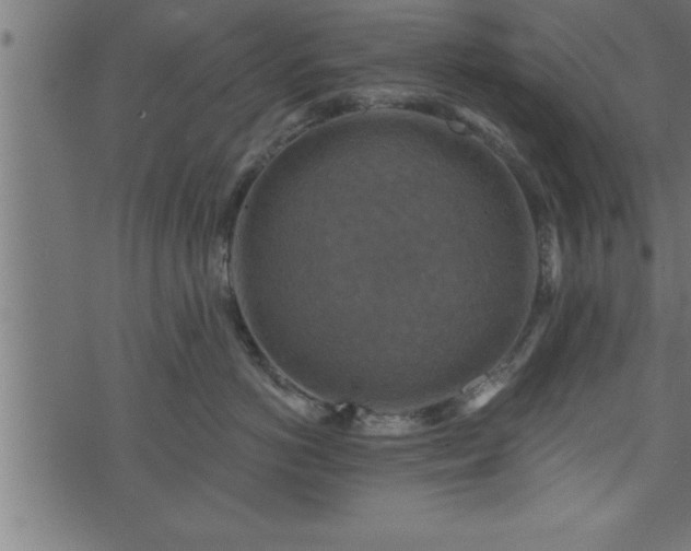 X0000073890766200608180933