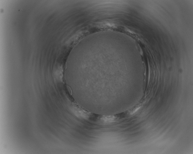 X0000073890767200608180933