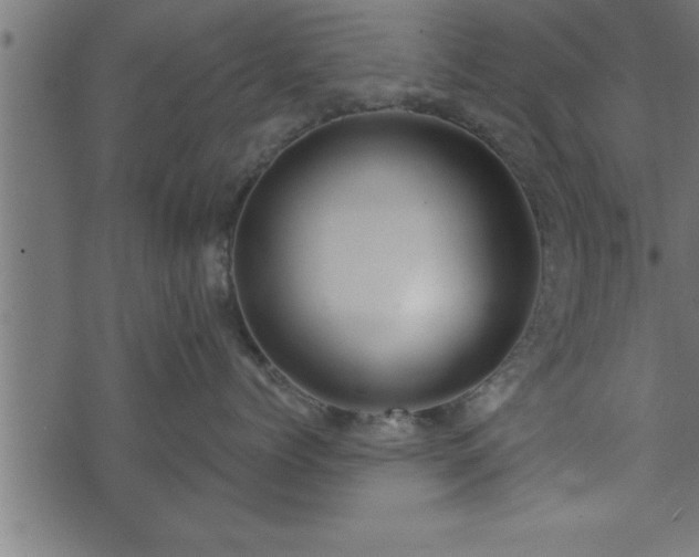 X0000073890768200608180933