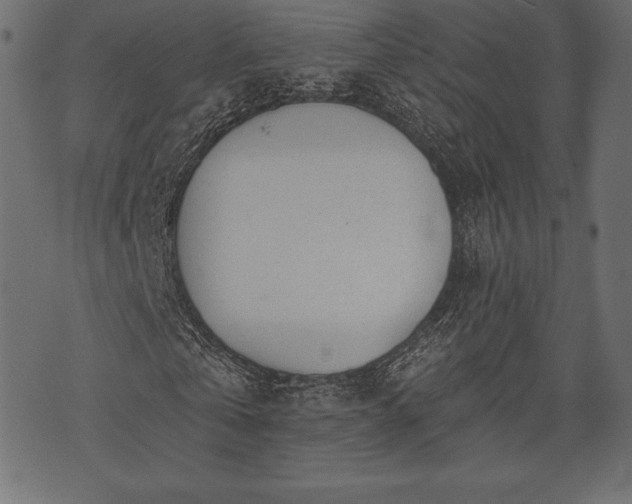 X0000073890769200608180933