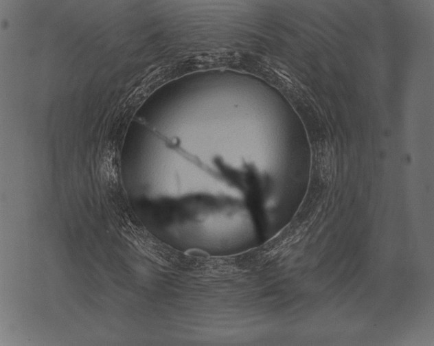 X0000073890770200608180933