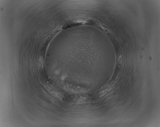 X0000073890772200608180933