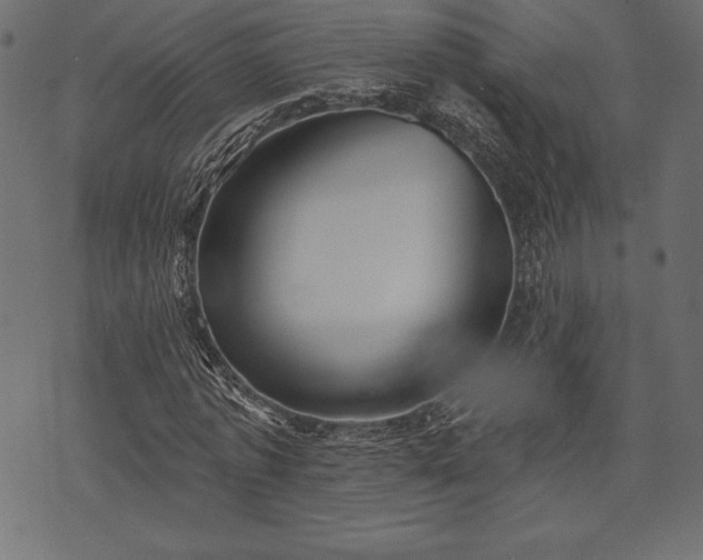 X0000073890773200608180933