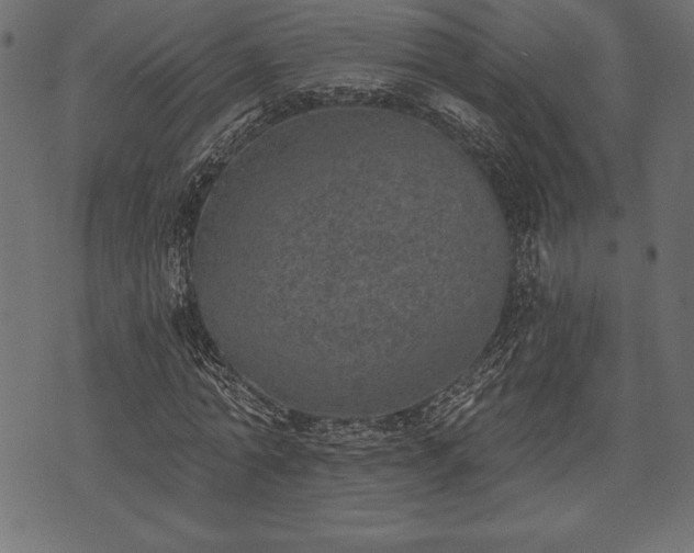 X0000073890774200608180933