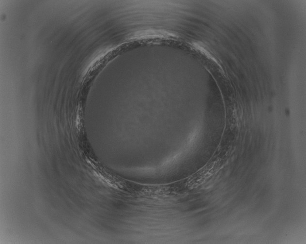 X0000073890775200608180932