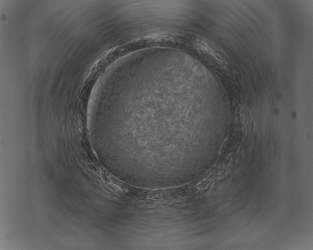 X0000073890776200608180932