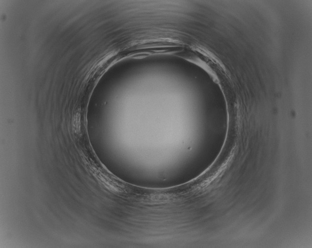 X0000073890777200608180932