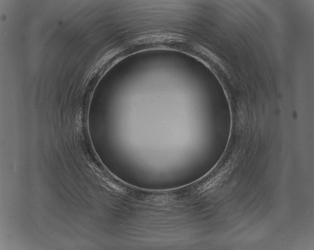 X0000073890778200608180932