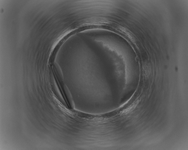 X0000073890779200608180932