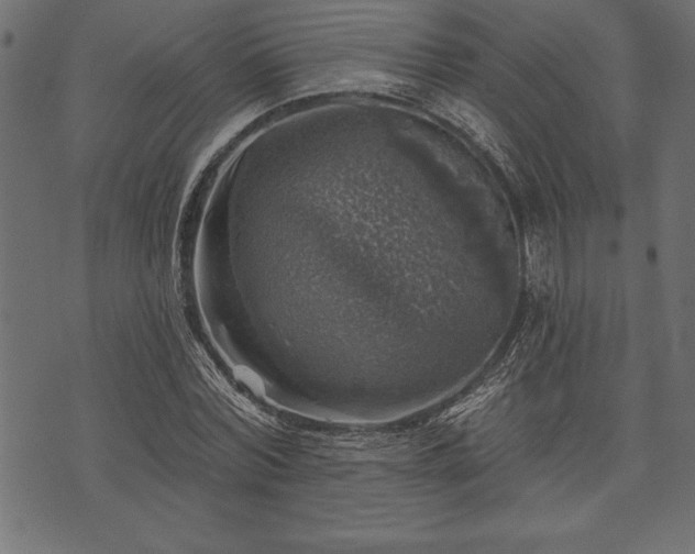 X0000073890780200608180932