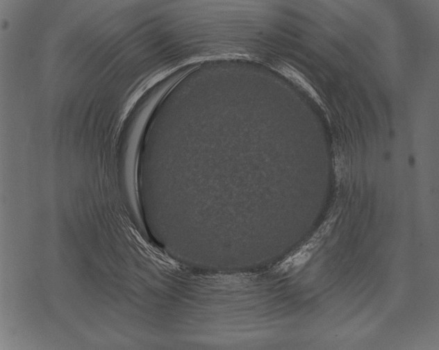 X0000073890781200608180932