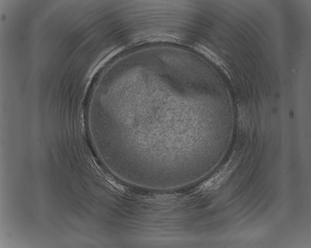 X0000073890782200608180932