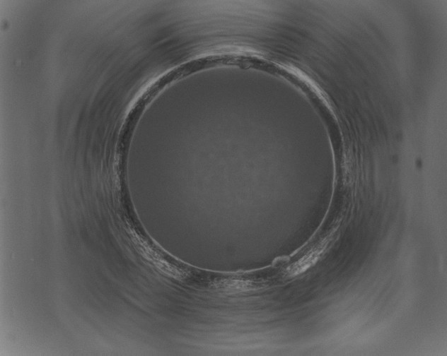 X0000073890783200608180932