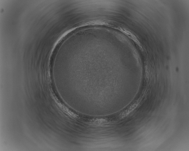 X0000073890784200608180932