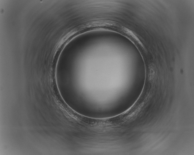 X0000073890786200608180932