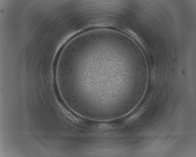 X0000073890787200608180932