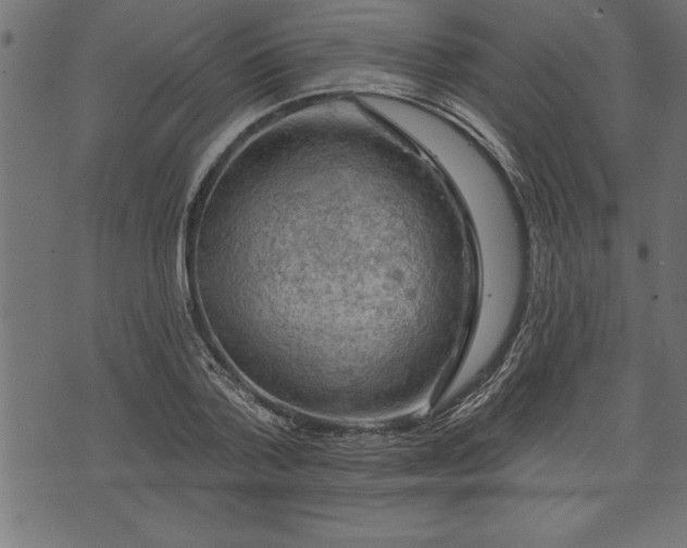 X0000073890788200608180932