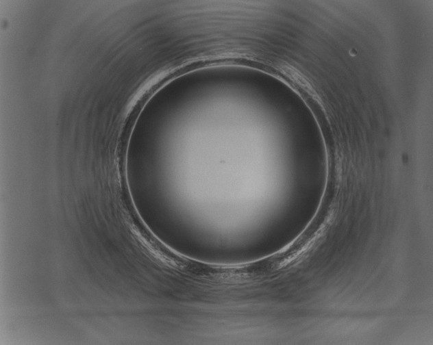 X0000073890789200608180932