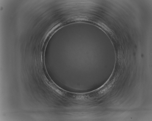 X0000073890790200608180932