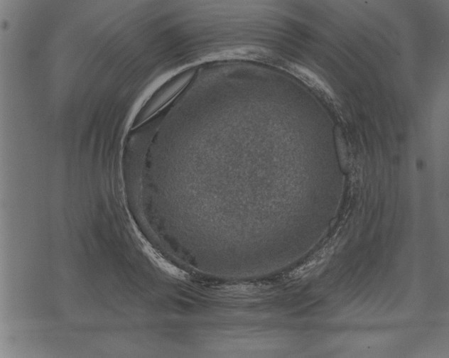 X0000073890792200608180932