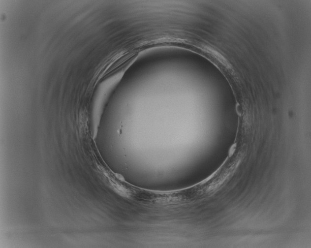 X0000073890793200608180932