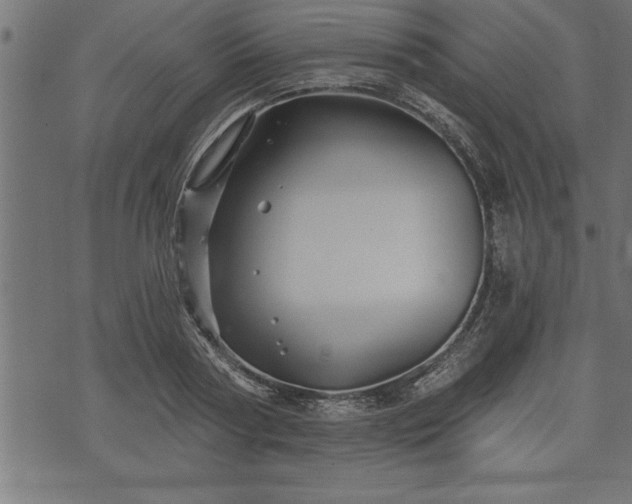 X0000073890794200608180932