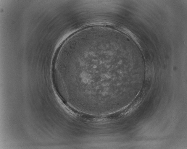 X0000073890795200608180932