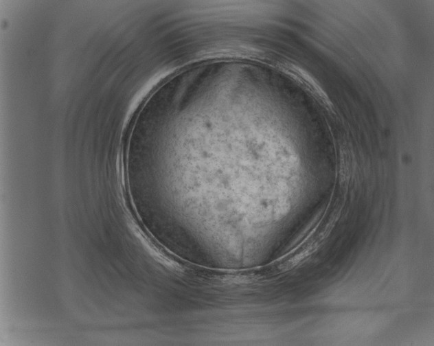 X0000073890796200608180932