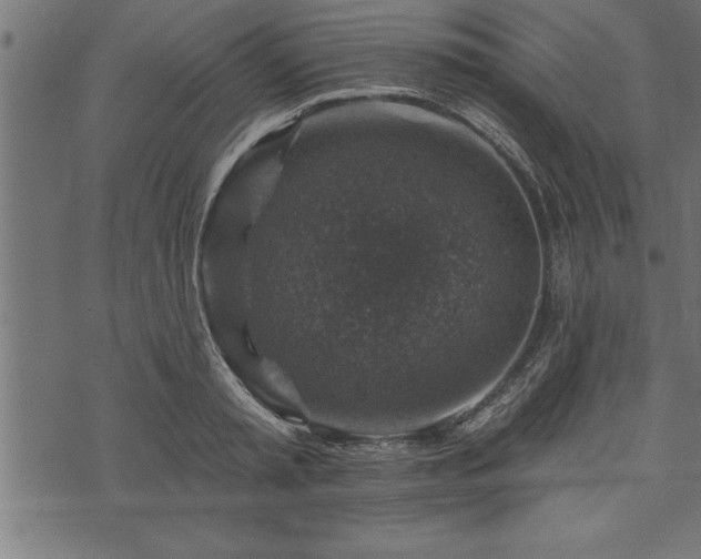 X0000073890797200608180932