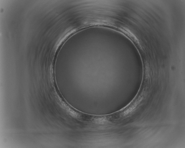 X0000073890798200608180932