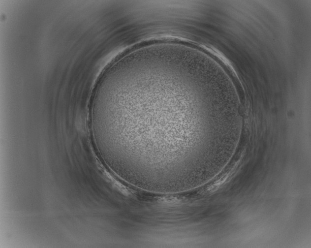 X0000073890799200608180932