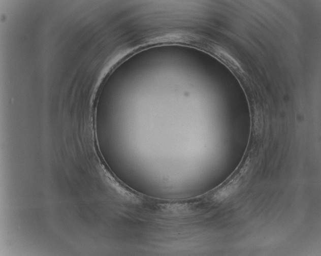 X0000073890800200608180932