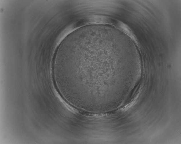 X0000073890803200608180932