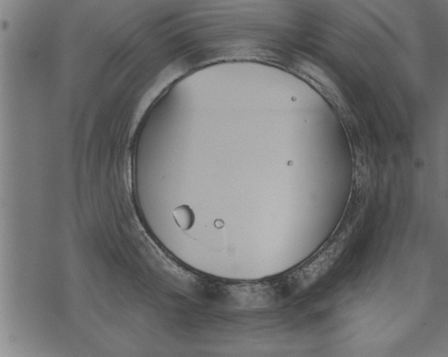 X0000073890804200608180932