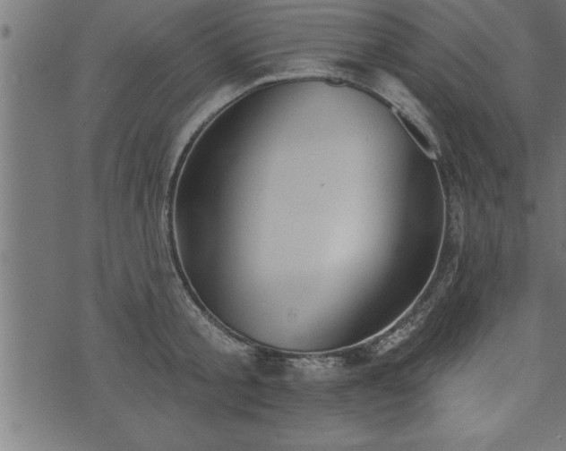 X0000073890805200608180932