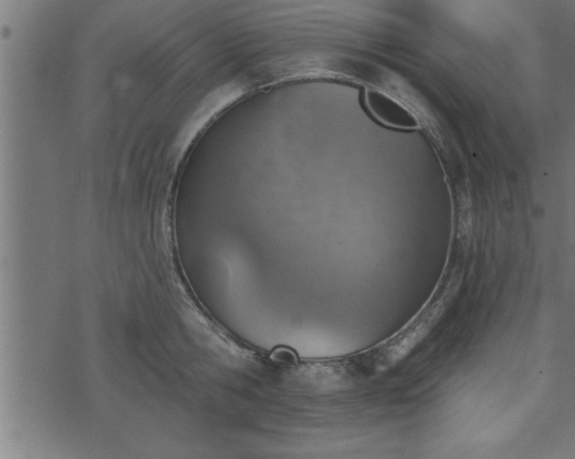 X0000073890806200608180932