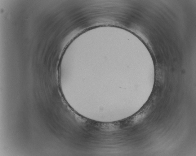 X0000073890807200608180932