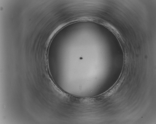 X0000073890808200608180932