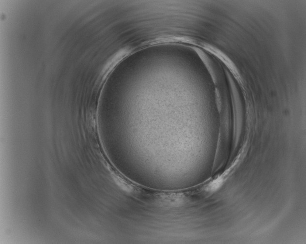 X0000073890809200608180932