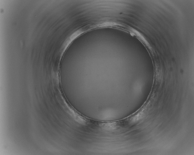 X0000073890810200608180932