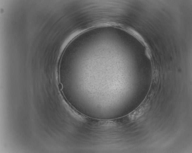 X0000073890811200608180932