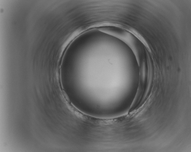 X0000073890813200608180932